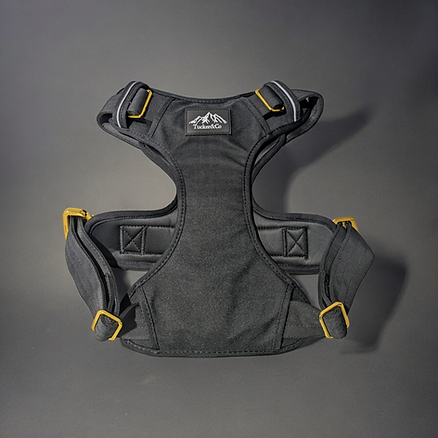Black & Gold Full Set - Collar, Lead and Harness
