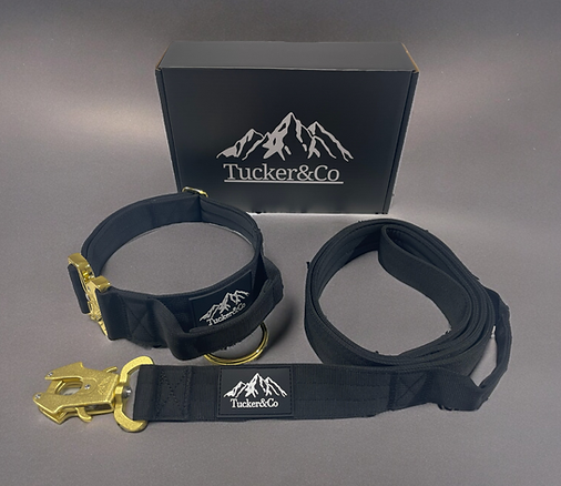 Black & Gold Full Set - Collar, Lead and Harness