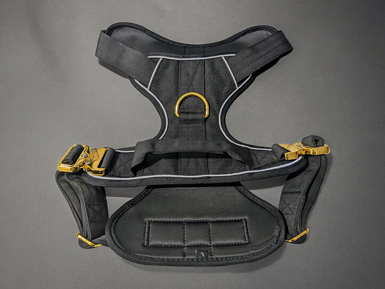Black & Gold Full Set - Collar, Lead and Harness