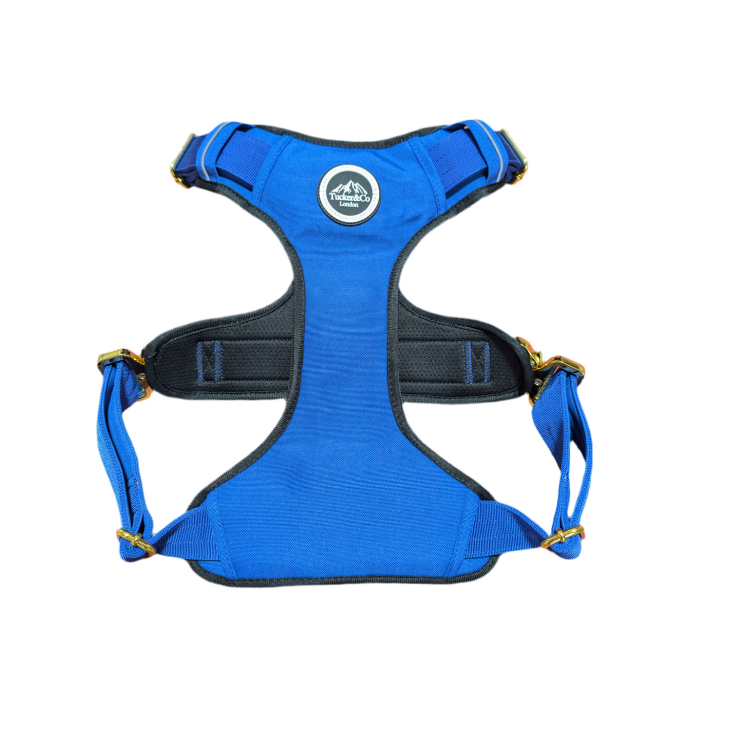 Tucker&Co London Royal Blue Tactical Harness