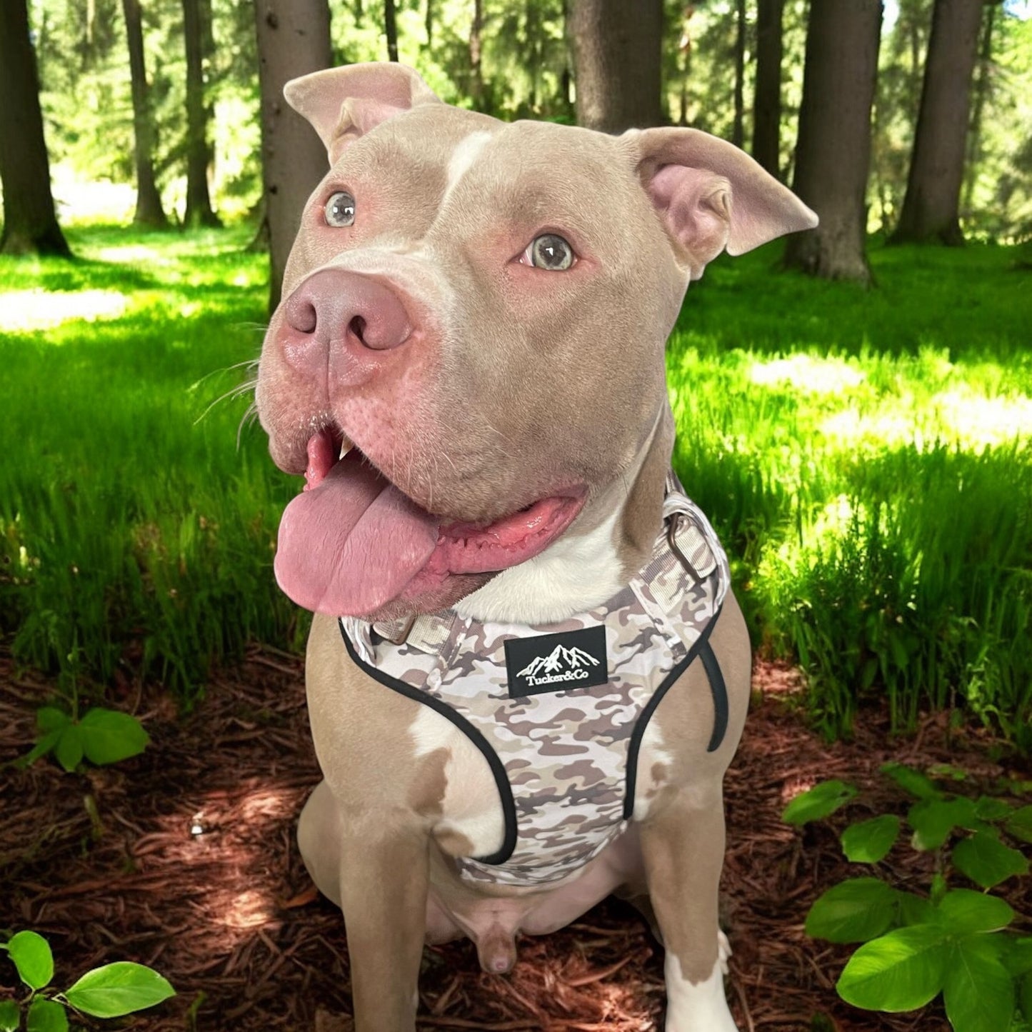 Tucker&Co London Camo Desert Tactical Harness (2024 Model)