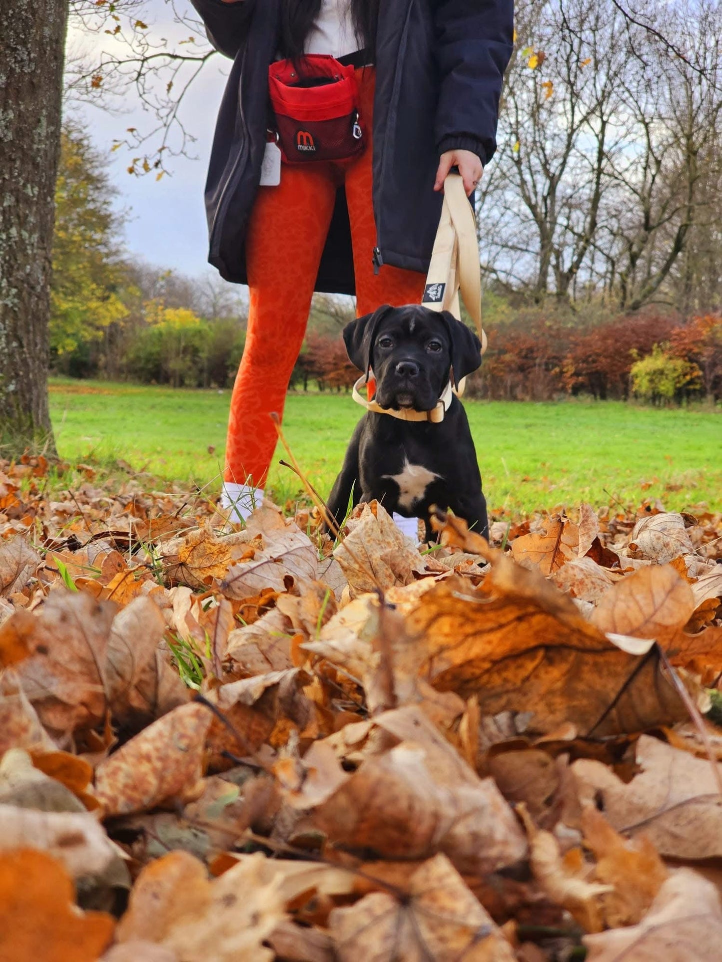 Tucker&Co London Vanilla Beige collar