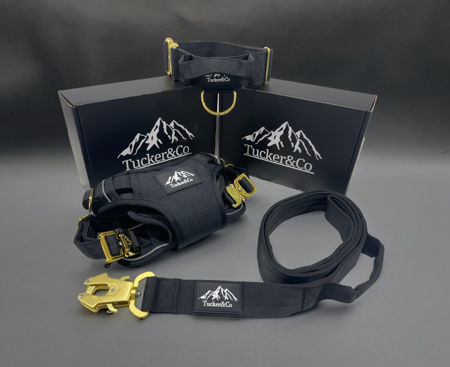 Black & Gold Full Set - Collar, Lead and Harness