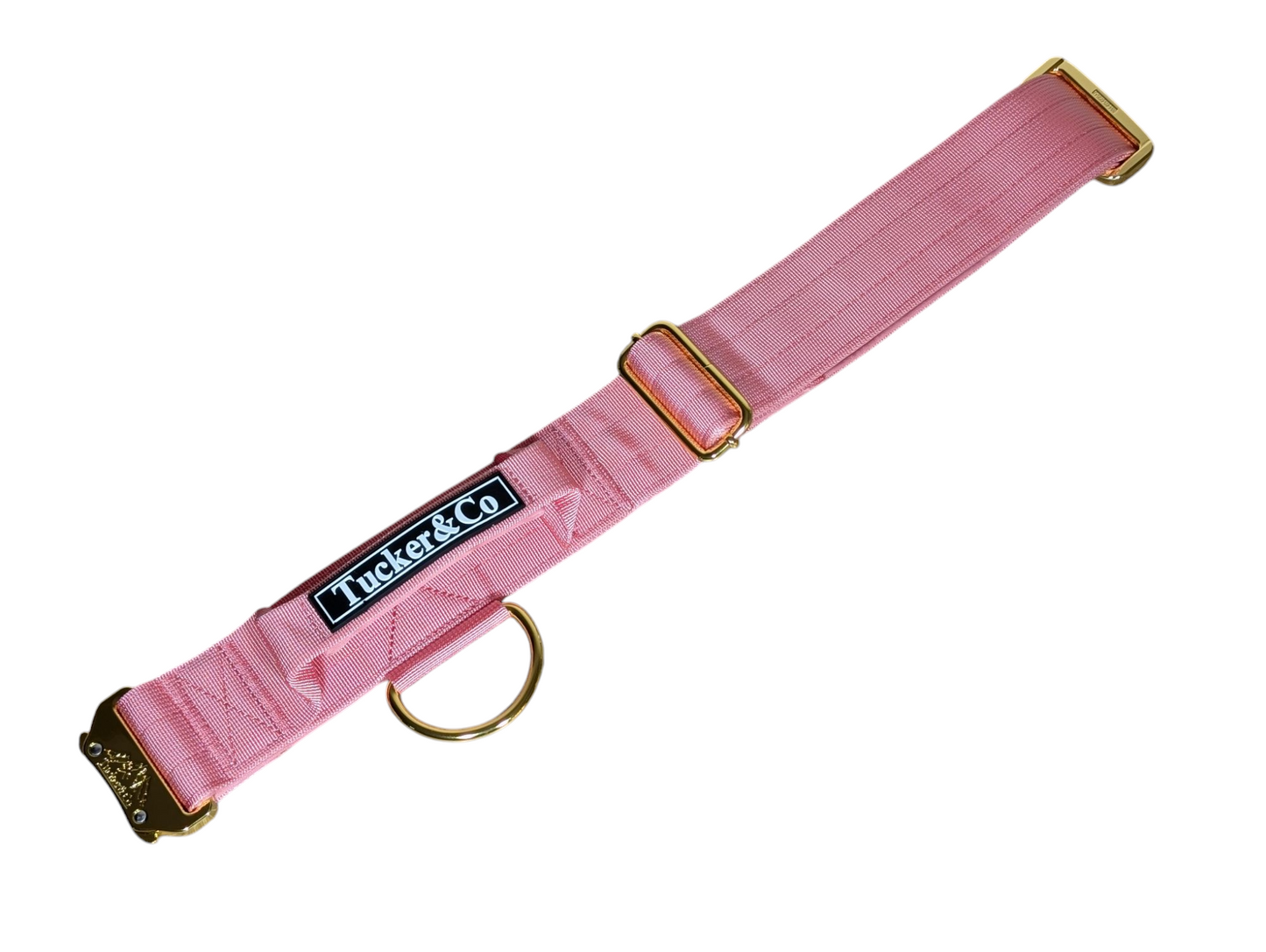 Tucker&Co London Tactical Collar with Handle in Soft Pink.