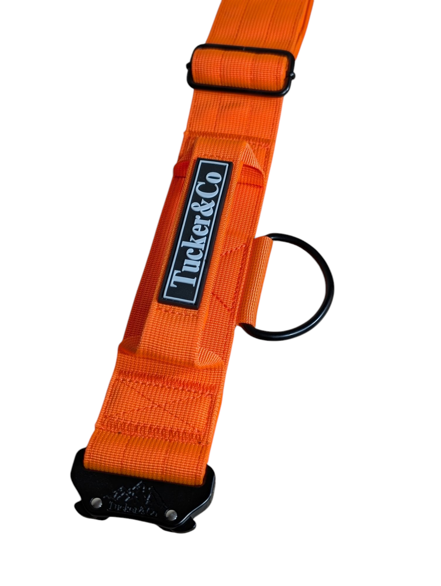 Tucker&Co London Tactical Collar with Handle in Orange.