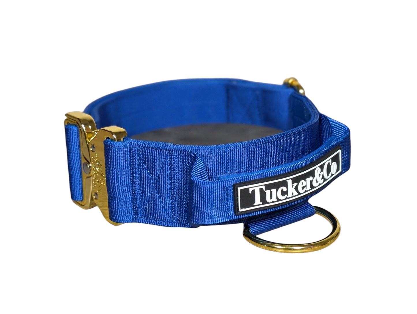 Tucker&Co London Tactical Collar with Handle in Royal Blue.