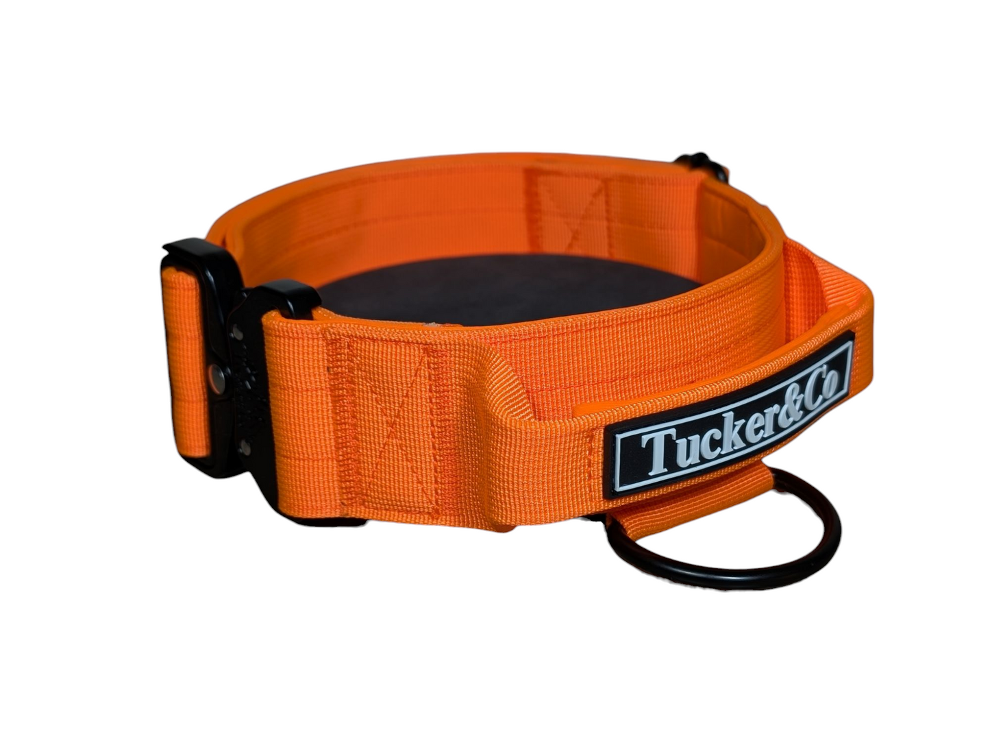 Tucker&Co London Tactical Collar with Handle in Orange.