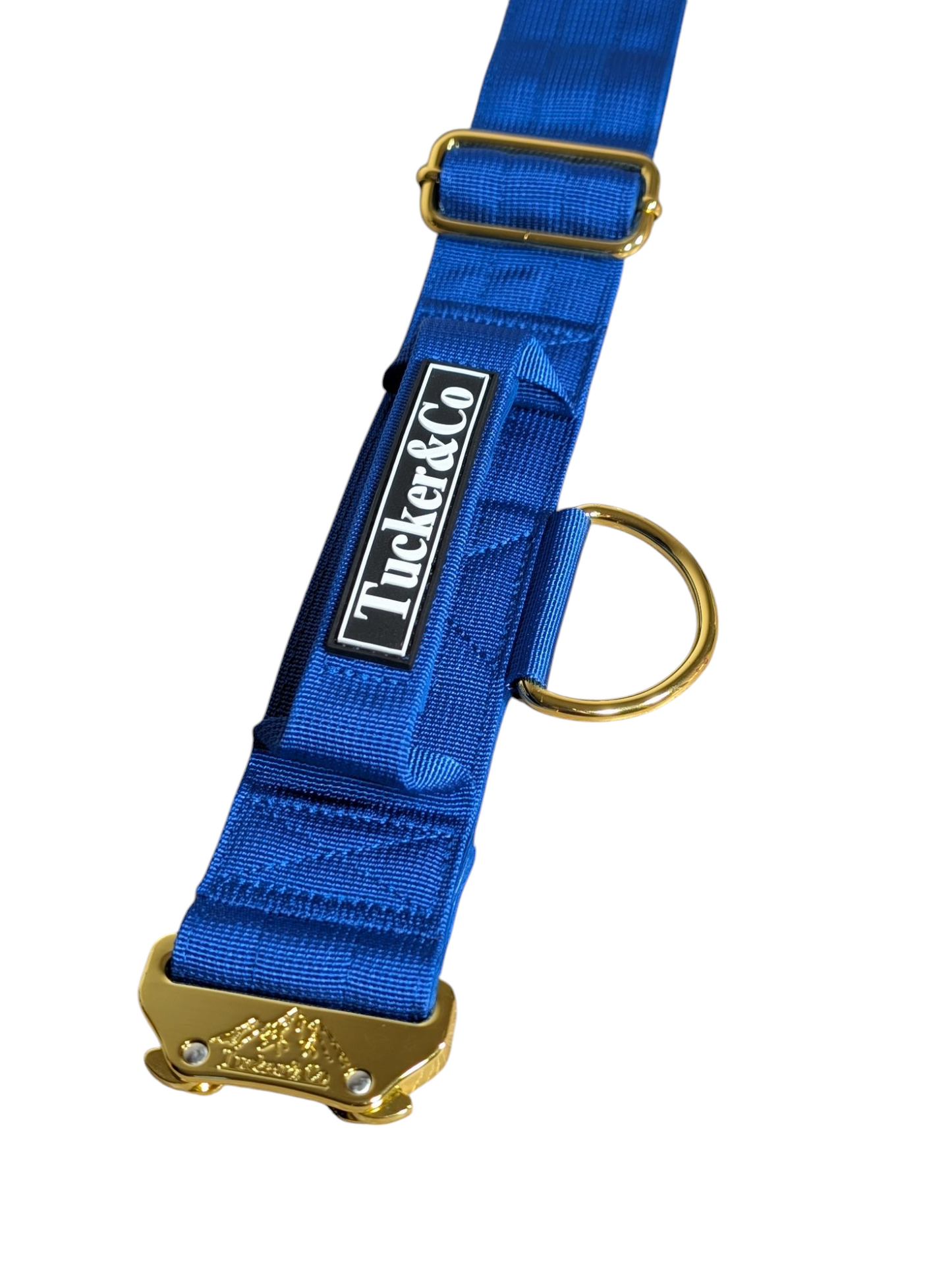 Tucker&Co London Tactical Collar with Handle in Royal Blue.