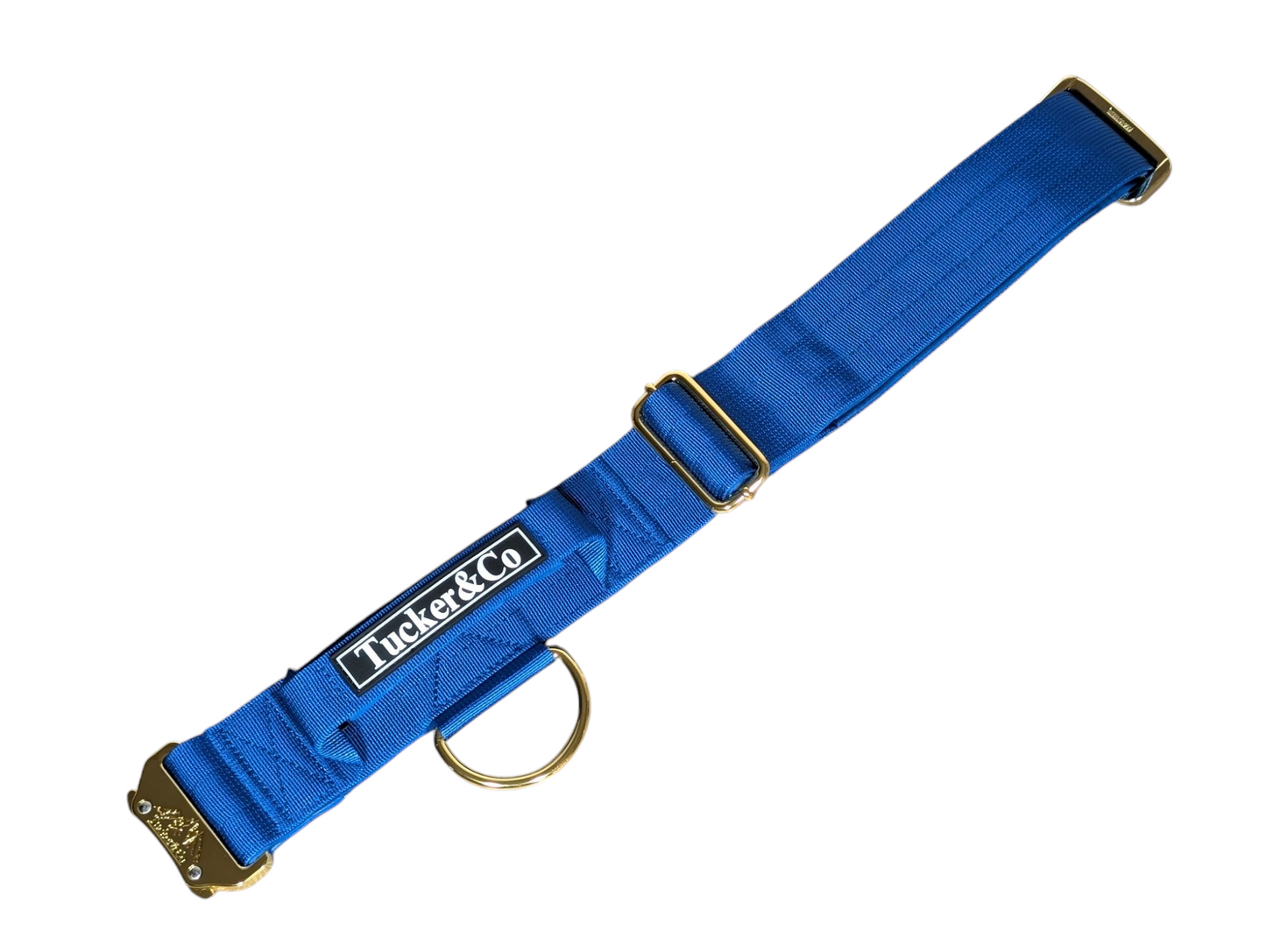 Tucker&Co London Tactical Collar with Handle in Royal Blue.