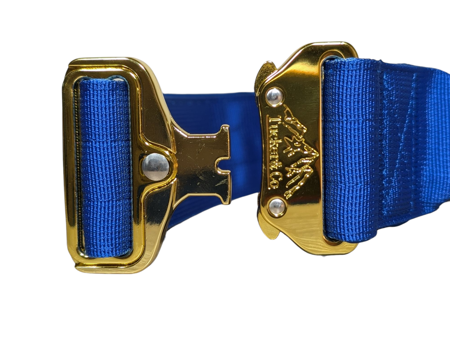 Tucker&Co London Tactical Collar with Handle in Royal Blue.