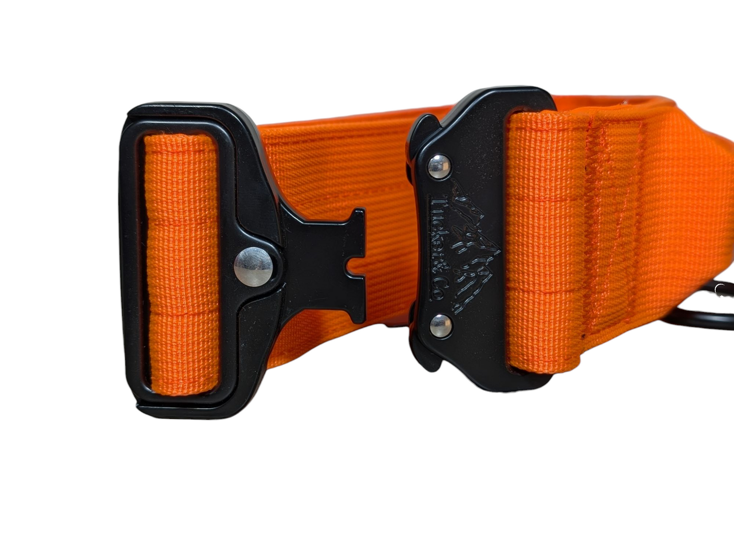 Tucker&Co London Tactical Collar with Handle in Orange.