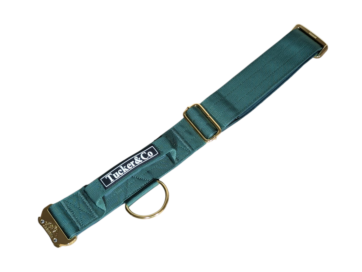 Tucker&Co London Tactical Collar with Handle in Emerald Green.