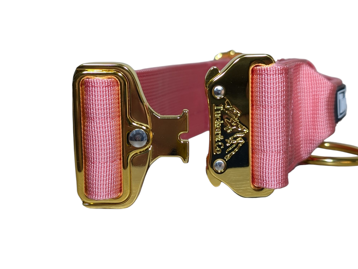 Tucker&Co London Tactical Collar with Handle in Soft Pink.