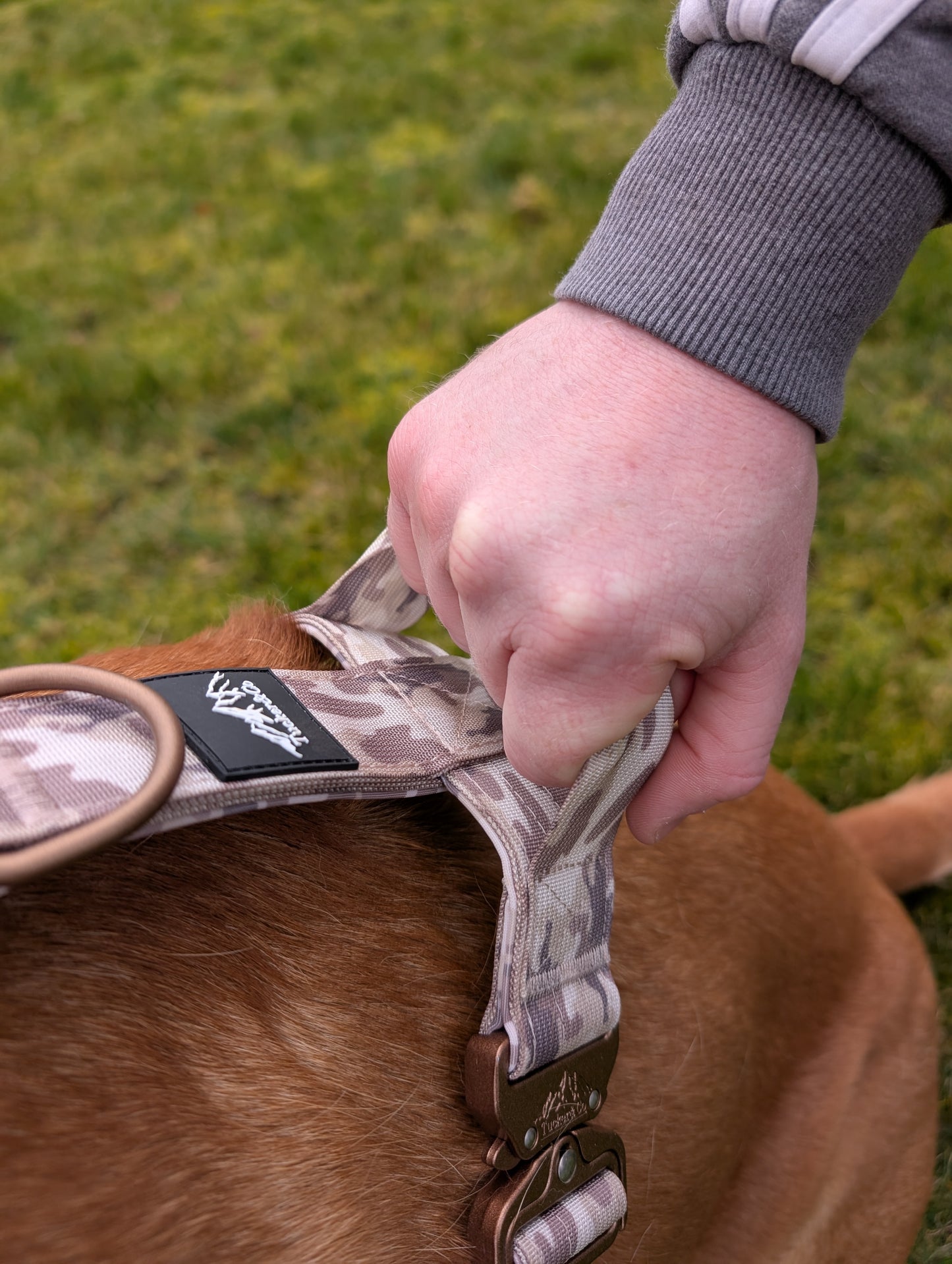 Tucker&Co London Camo Desert Ultimate Comfort Harness