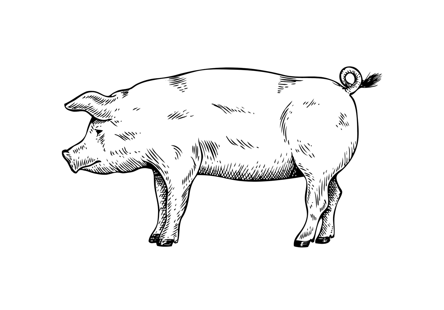 PORK