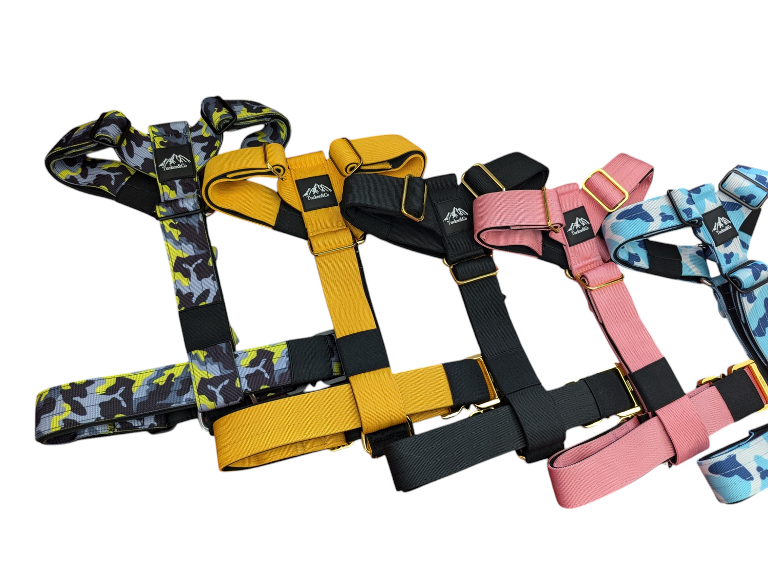 TRI-HARNESSES