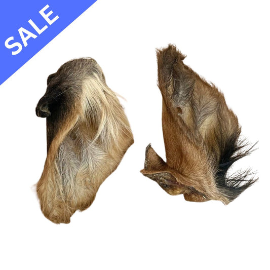Hairy Cows Ear