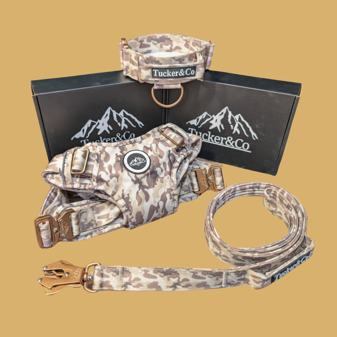 Tucker&Co Camo Desert Special Edition full matching set - Collar Lead & Harness