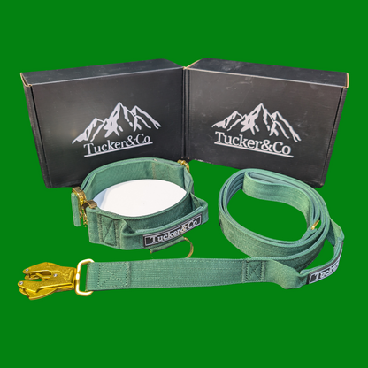 TUCKER & CO EMERALD GREEN AND GOLD COLLAR AND LEAD