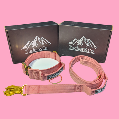 TUCKER & CO SOFT PINK AND GOLD COLLAR AND LEAD