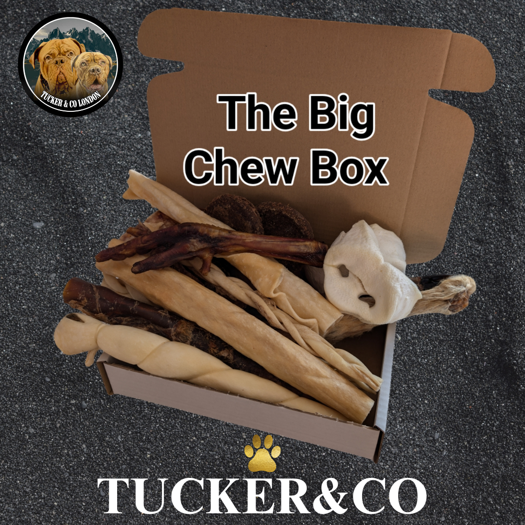 The Big Chew Box