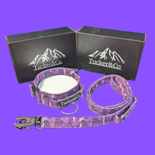 TUCKER & CO CAMO PURPLE COLLAR AND LEAD