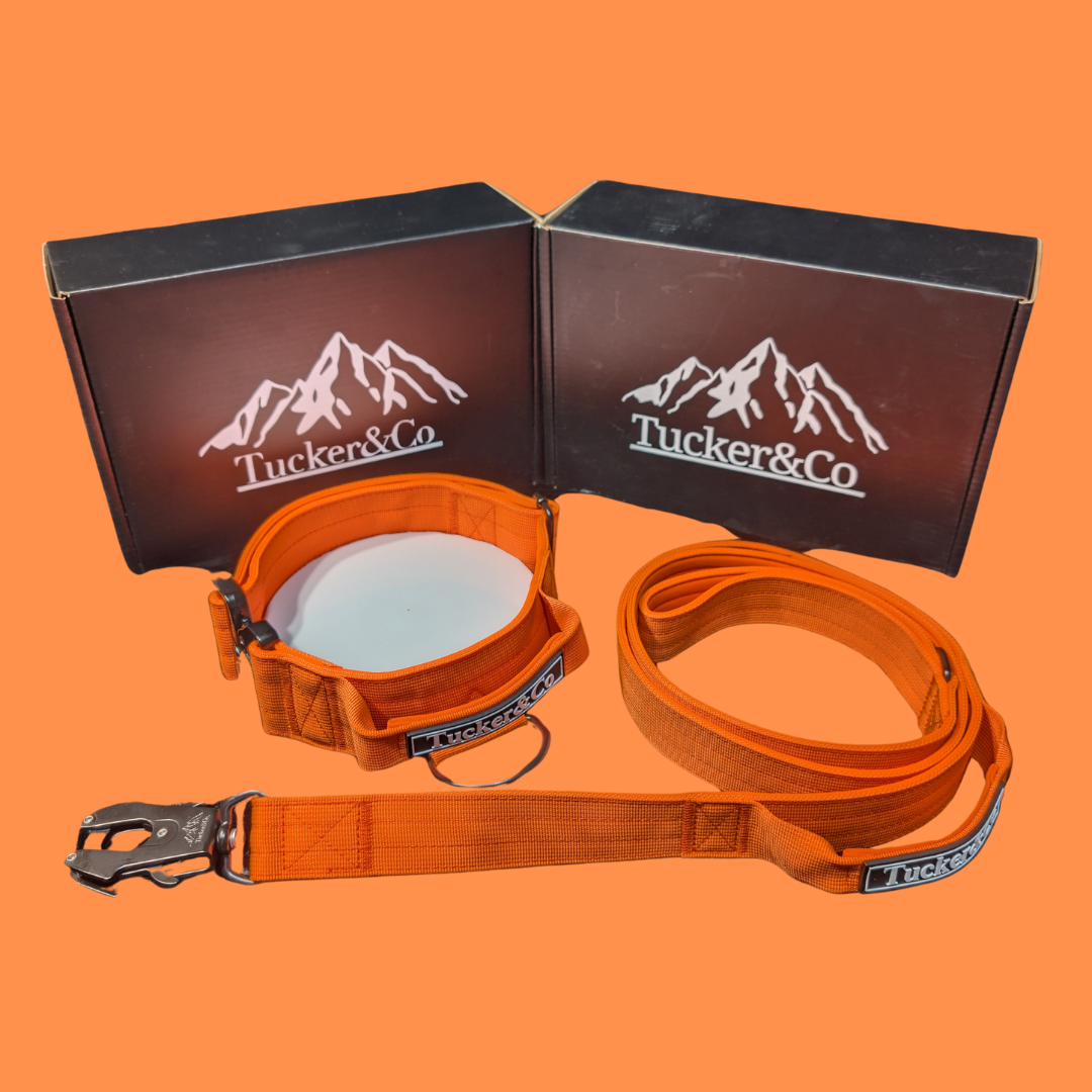 TUCKER & CO ORANGE COLLAR AND LEAD