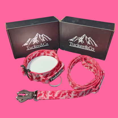 TUCKER & CO CAMO PINK COLLAR AND LEAD