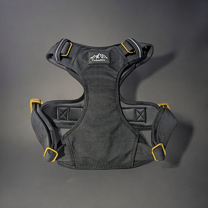 Black & Gold Full Set - Collar, Lead and Harness