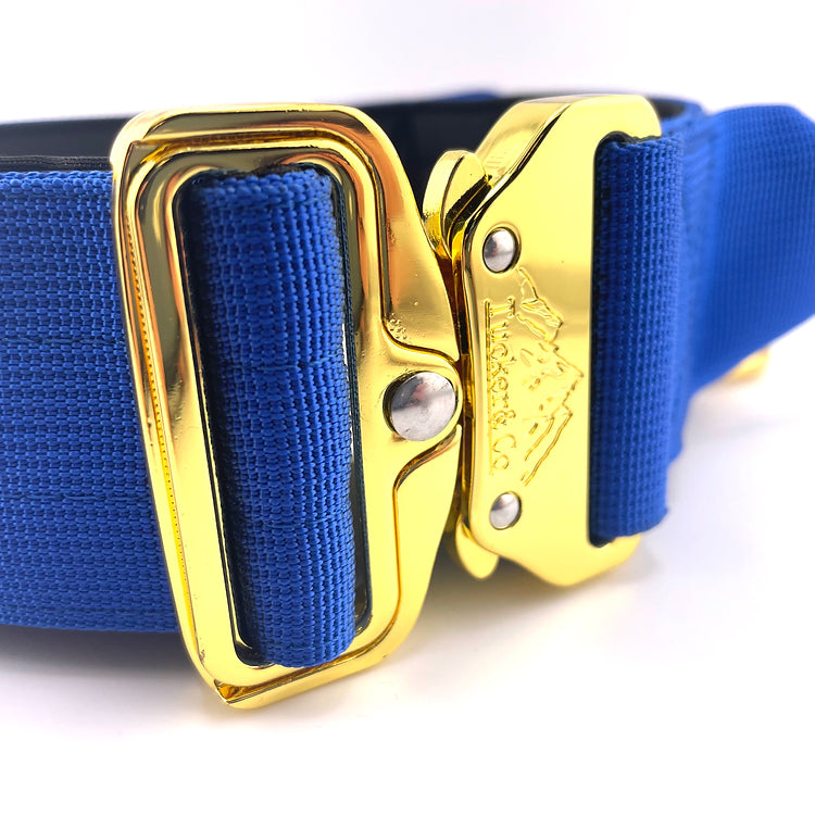 TUCKER & CO ROYAL BLUE AND GOLD COLLAR AND LEAD