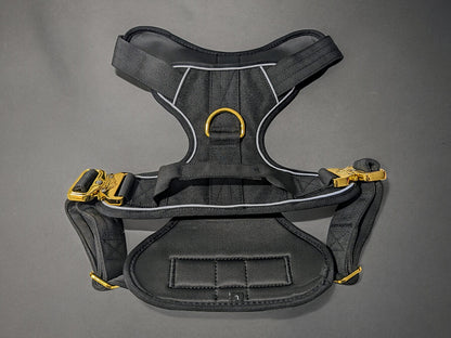Black & Gold Full Set - Collar, Lead and Harness