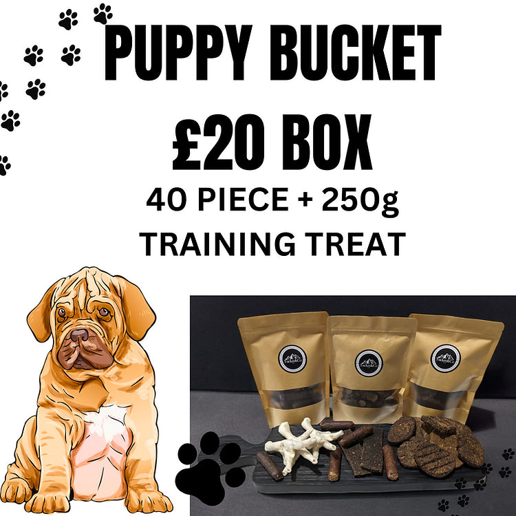 40 Piece Puppy Treat Box plus Training Treats - £20