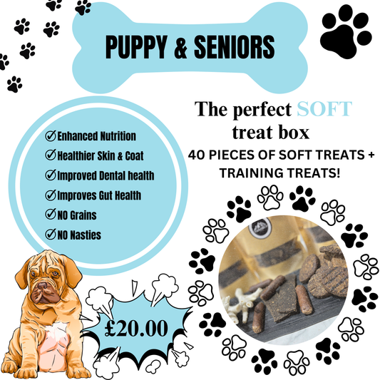 40 Piece Puppy Treat Box plus Training Treats - £20