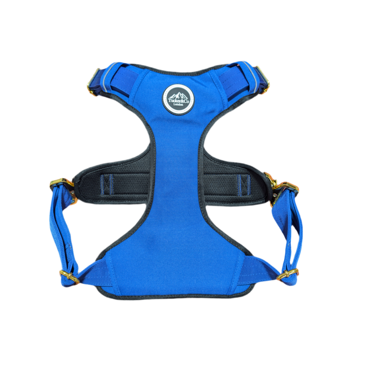 Royal Blue & Gold Harness