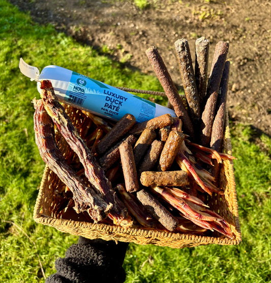 Natural Duck Box