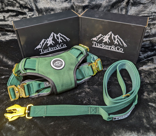 EMERALD GREEN TACTICAL HARNESS AND LEAD