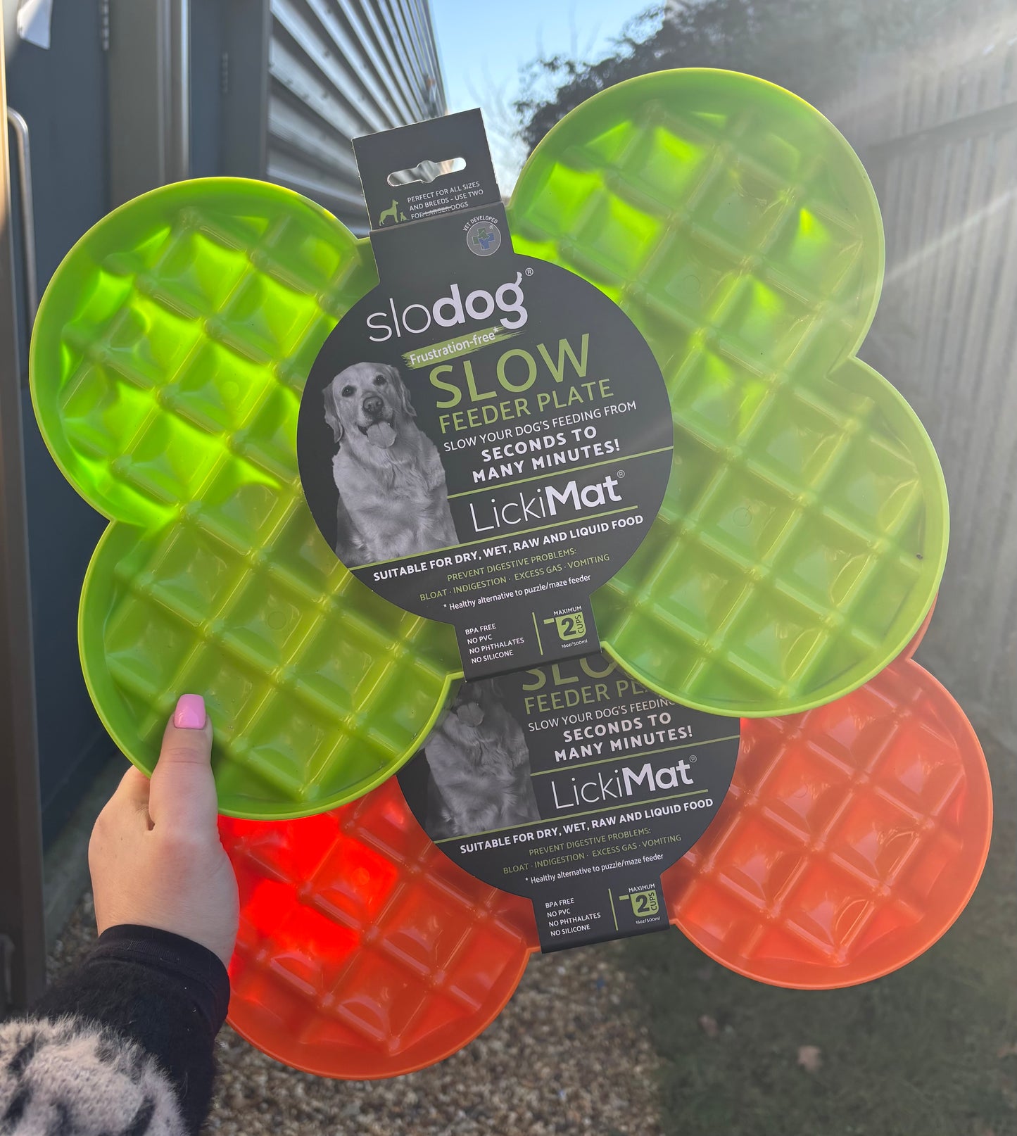 Slodog Slowfeeder Plate for Dogs