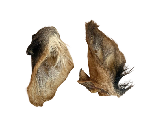 Hairy Cows Ear Multipack