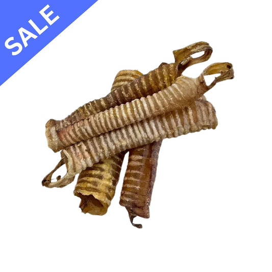 Trachea Beef Gullet (12cm)