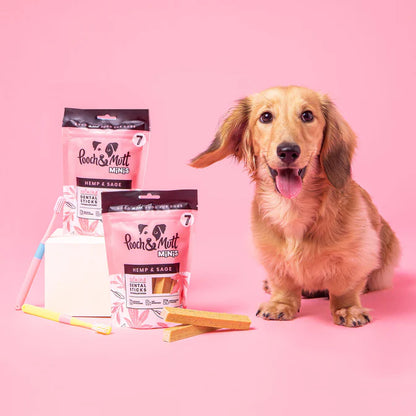 Pooch&Mutt Calming Dental Sticks