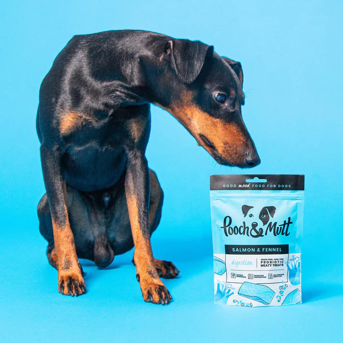 Pooch&Mutt Health & Digestive Probiotics Fish Treats