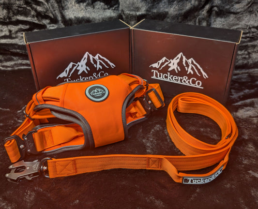 ORANGE TACTICAL HARNESS AND LEAD