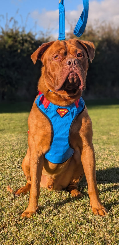 Tucker&Co Superhero Full Matching Set