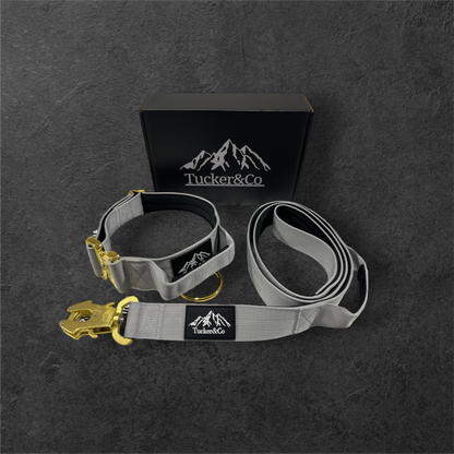 Tucker&Co Grey and Gold full matching set - Collar Lead & Harness