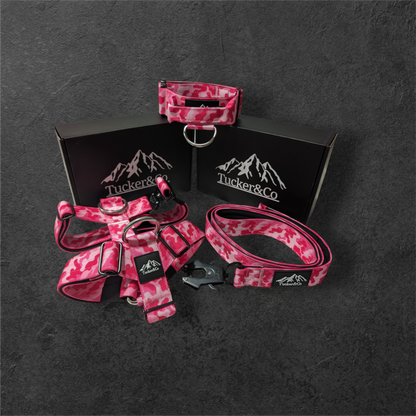 Tucker&Co Camo Pink full matching set - Collar Lead & Harness