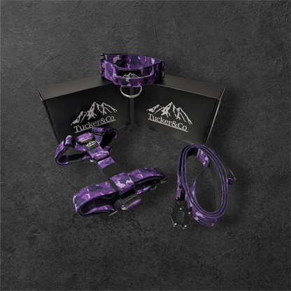 Tucker&Co Camo Purple full matching set - Collar Lead & Harness