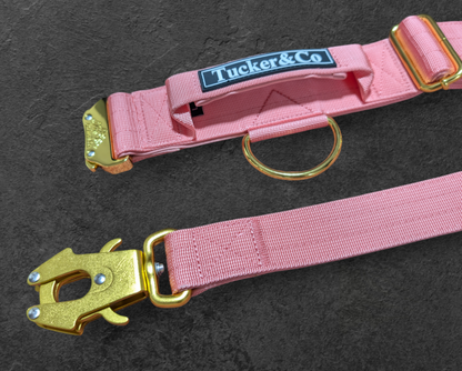 TUCKER & CO SOFT PINK AND GOLD COLLAR AND LEAD