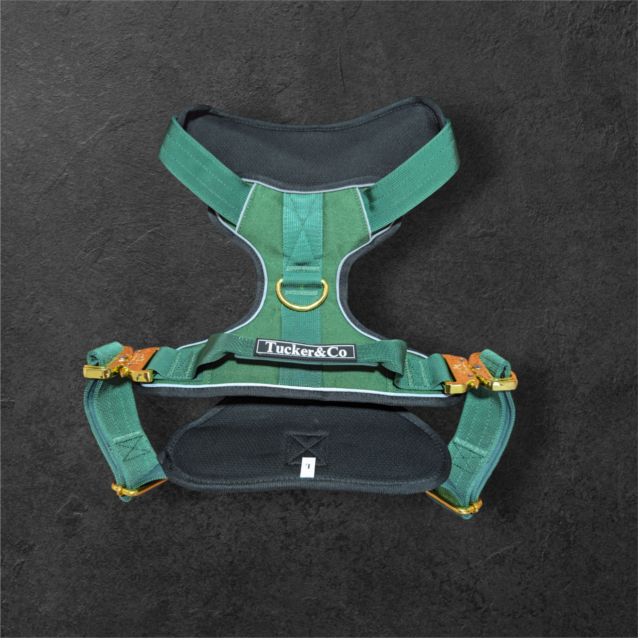 EMERALD GREEN TACTICAL HARNESS AND LEAD