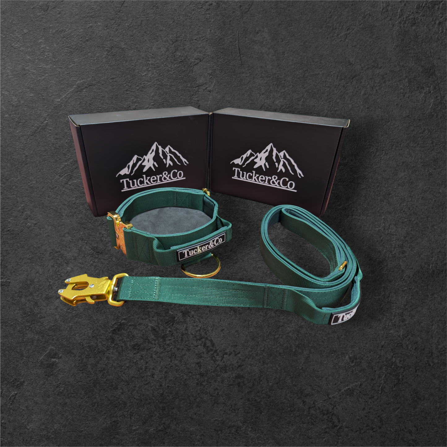 Tucker&Co Emerald Green and gold full matching set - Collar Lead & Harness