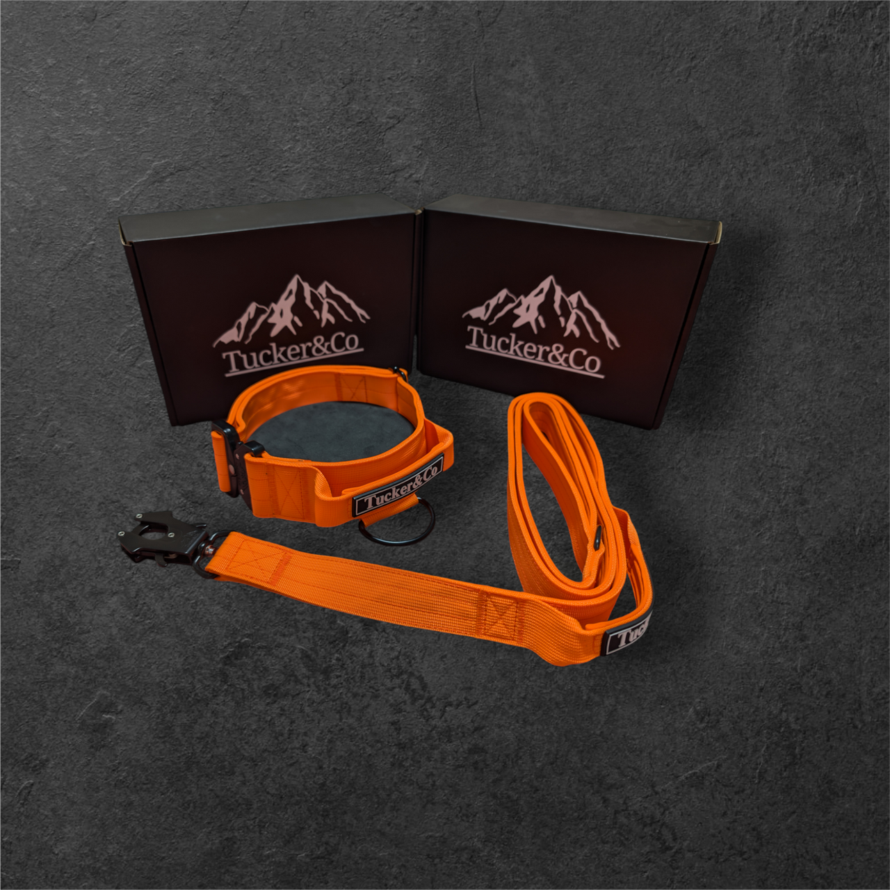 Tucker&Co Orange full matching set - Collar Lead & Harness